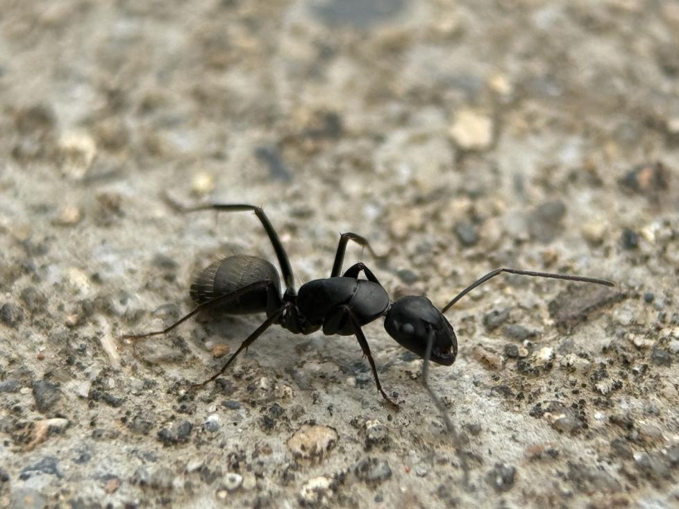 /Users/ed/Library/Containers/com.kingsoft.wpsoffice.mac/Data/tmp/picturecompress_20250422214141/output_1.jpgoutput_1