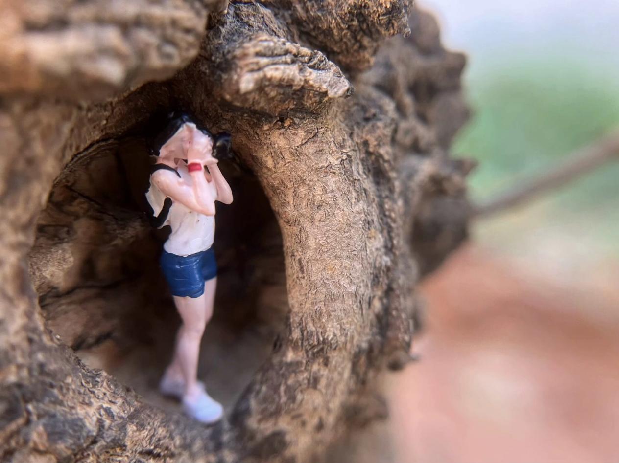 QQ图片20241024160056