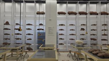 5dc82b4a2df38c2a835d4bd31f367081