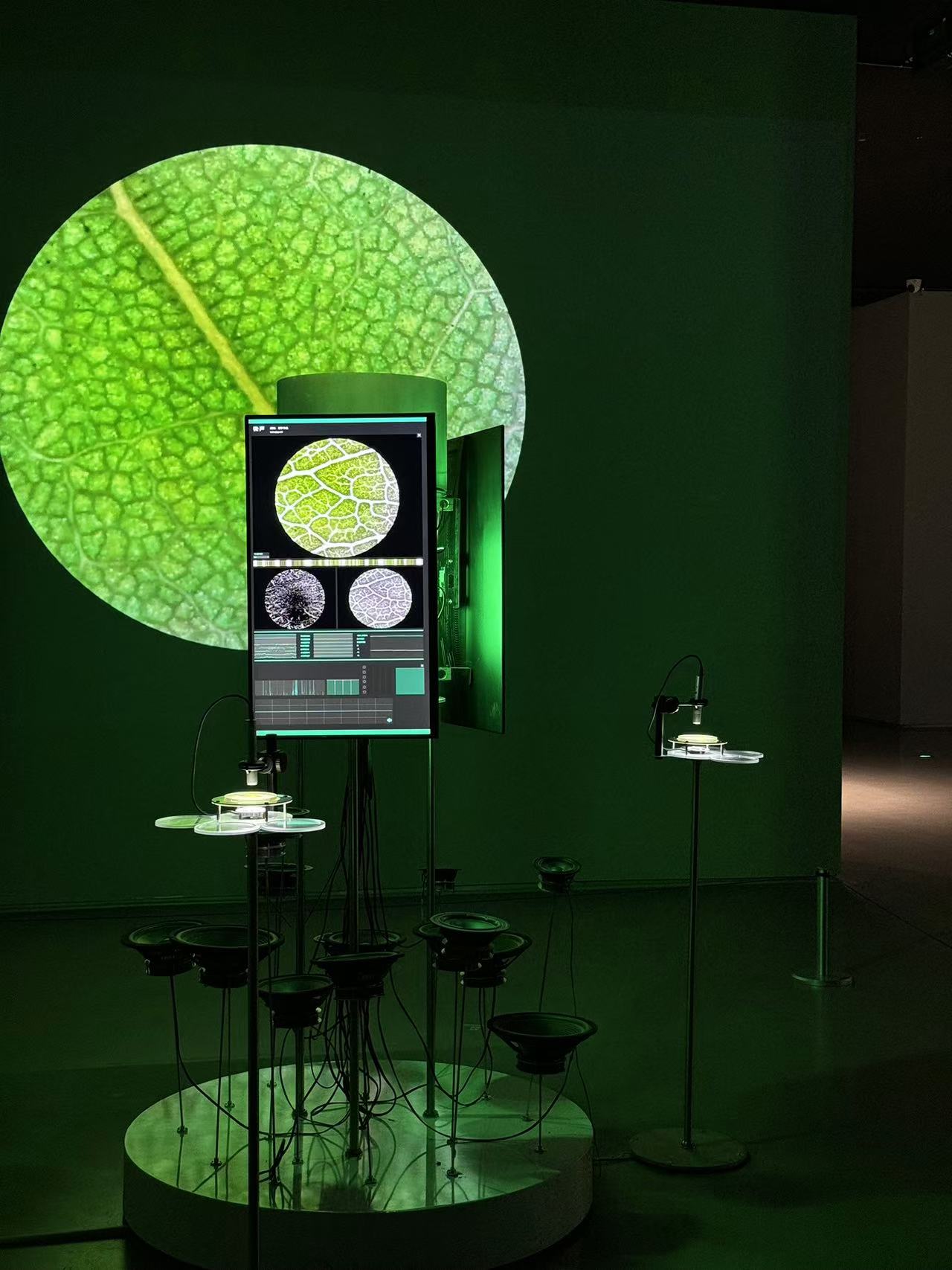 4b8f9c4d303822046c8812f882208bb