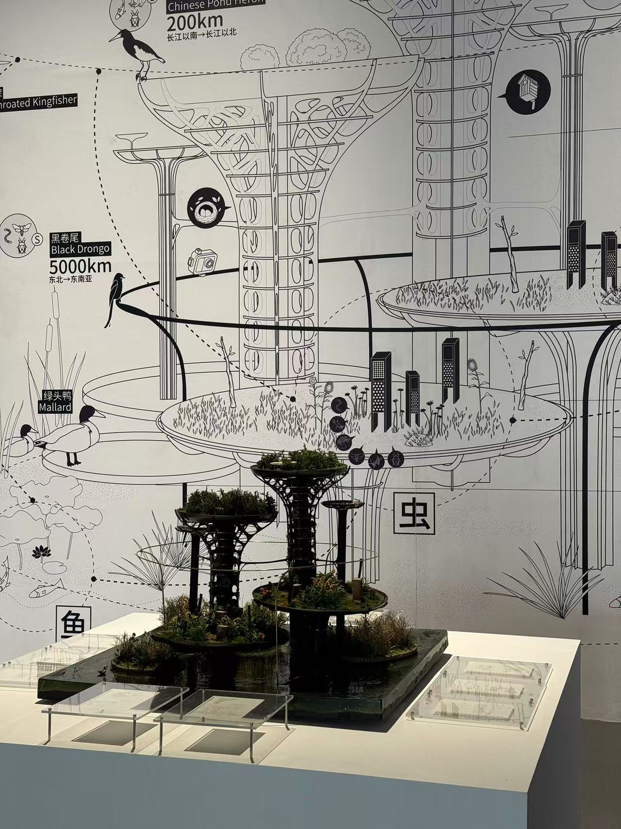 3b5dd3b460a252ea6def91081efc0eb