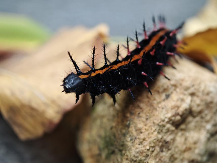 QQ图片20241024155531