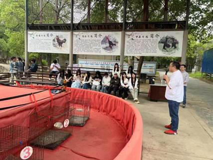 815af238ba47ce304c00cd17115f716