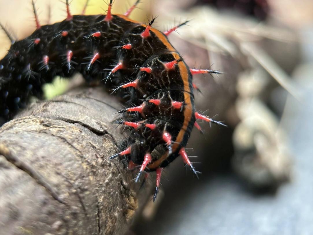 QQ图片20241024155630